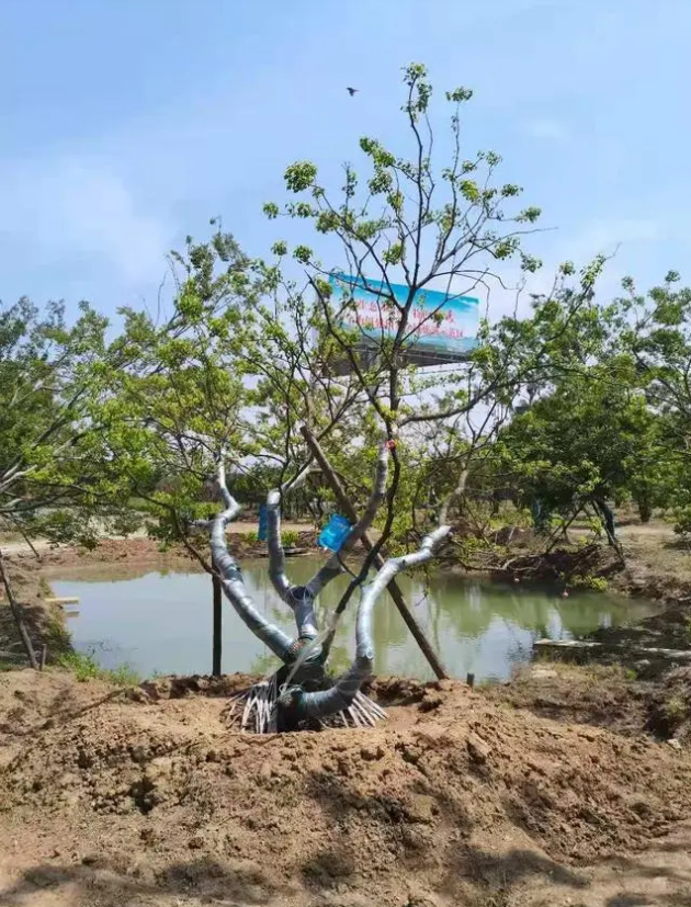 QQ截图20240119092137